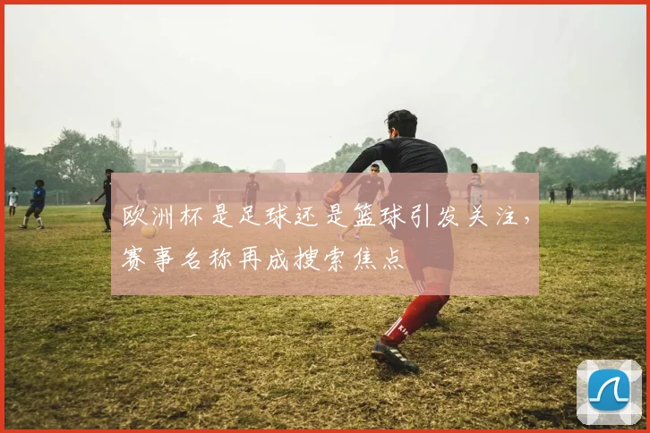 欧洲杯是足球还是篮球引发关注,赛事名称再成搜索焦点