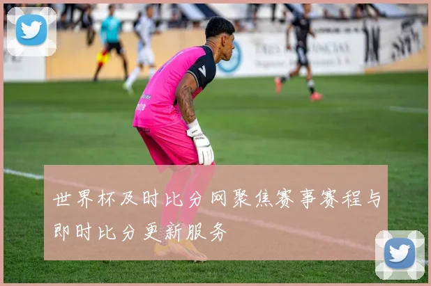 世界杯及时比分网聚焦赛事赛程与即时比分更新服务