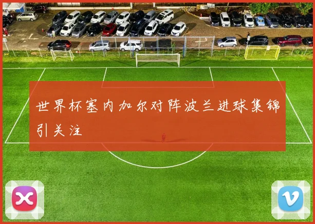 世界杯塞内加尔对阵波兰进球集锦引关注