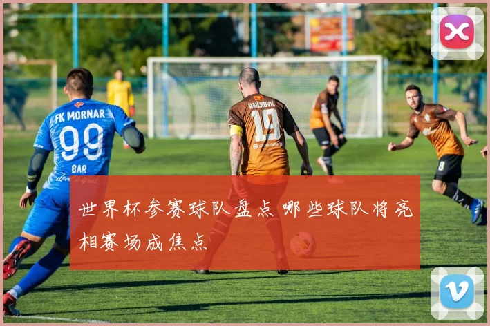 世界杯参赛球队盘点 哪些球队将亮相赛场成焦点